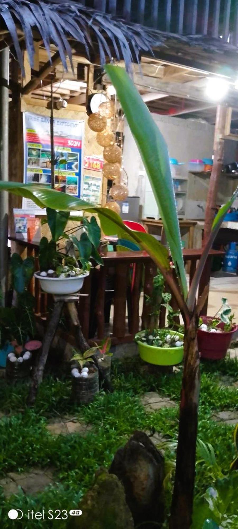 Alfa Garden Lodge إل نيدو المظهر الخارجي الصورة